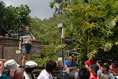 0056 Cairns Tropical Zoo